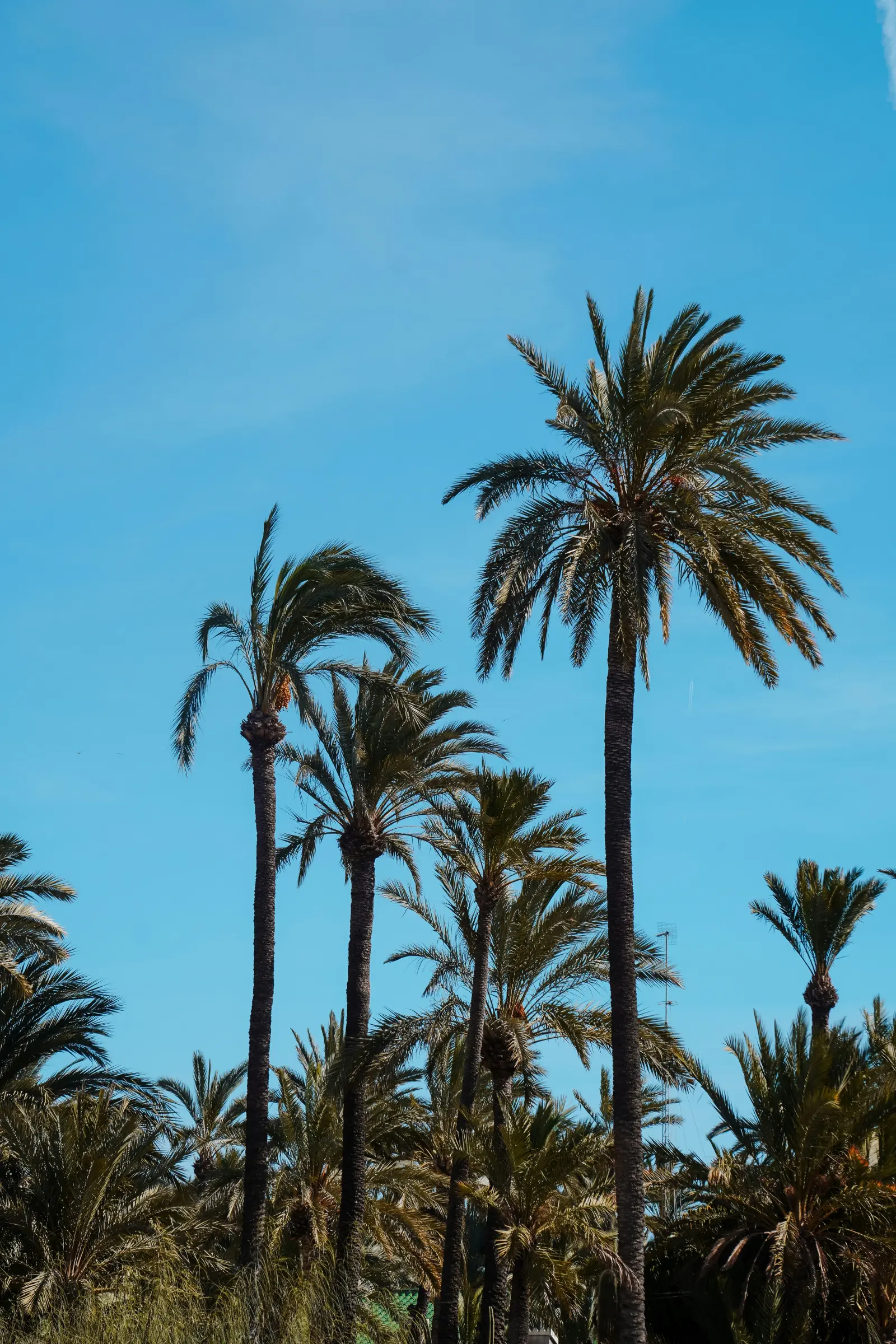 Un refugio de calma entre calas y luz mediterránea