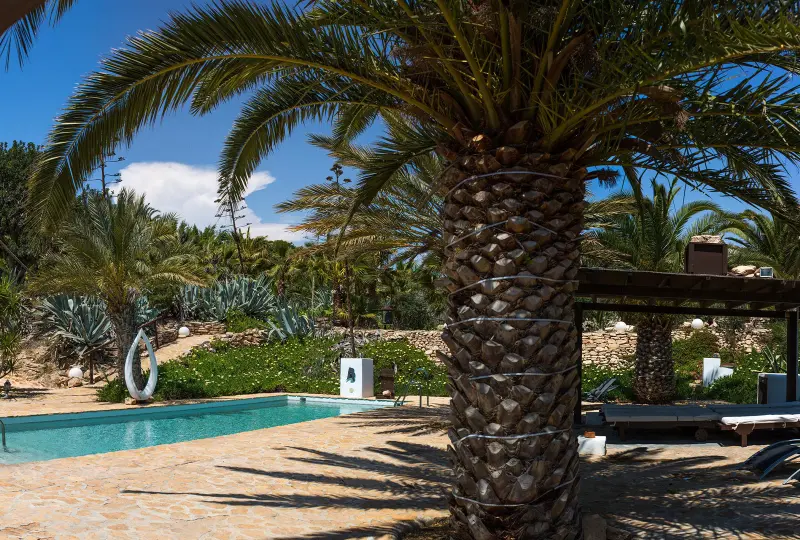 Cortijo La Almendra y el Gitano