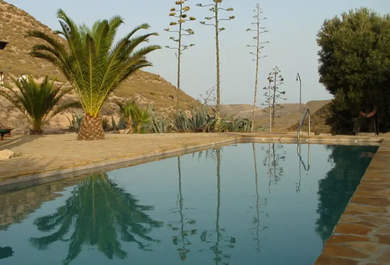 Cortijo La Almendra y el Gitano