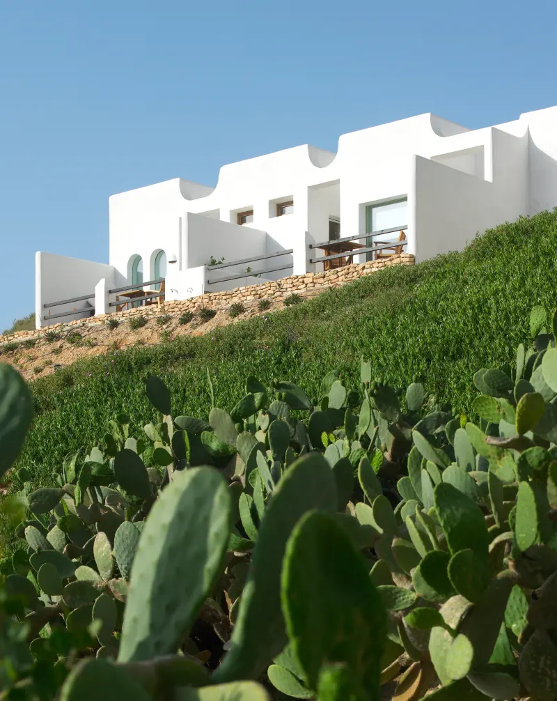 Cortijo La Almendra y el Gitano